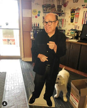 Load image into Gallery viewer, Cardboard Cutout Danny DeVito Life Size Cardboard Standup Great Party Decoration Solid Cardboard Print 59 х 18 inches