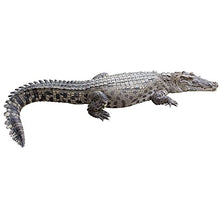 Load image into Gallery viewer, SP12073 Crocodile Croc Cardboard Cutout Standee Standup
