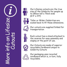 Load image into Gallery viewer, Danny DeVito (Purple Shirt) Life Size Cutout