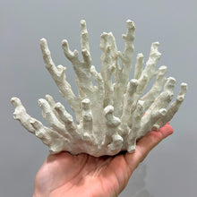 Load image into Gallery viewer, Abbott Collection 20-SEASHORE/16 RED Medium Red 3D Coral Branch Decorative Resin Figurine - AT TEN Distribution
