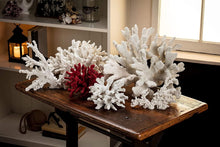 Load image into Gallery viewer, Abbott Collection 20-SEASHORE/16 RED Medium Red 3D Coral Branch Decorative Resin Figurine - AT TEN Distribution