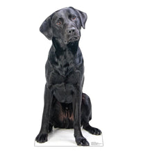 Load image into Gallery viewer, Black Labrador Life - Size Cardboard Cutout - AT TEN Distribution