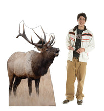 Load image into Gallery viewer, Elk Life - Size Cardboard Cutout - AT TEN Distribution