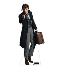 Load image into Gallery viewer, Life - size Cardboard Cutout of Newt Scamander - AT TEN Distribution