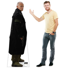 Load image into Gallery viewer, Life - size Cardboard Cutout of The Black Mask - Mercenary - AT TEN Distribution