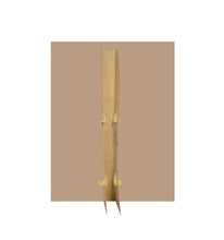 Load image into Gallery viewer, Life - size Declaration of Independence Cardboard Standup - AT TEN Distribution