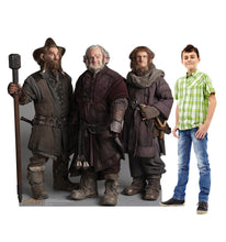 Load image into Gallery viewer, Life - Size Nori, Dori, Ori The Dwarfs Cardboard Cutout - AT TEN Distribution