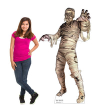 Load image into Gallery viewer, Mummy 3523 - AT TEN Distribution