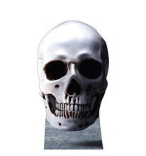 Load image into Gallery viewer, Skull Cardboard Cutout - AT TEN Distribution