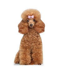 Load image into Gallery viewer, Toy Poodle Life - Size Cardboard Cutout - AT TEN Distribution