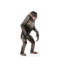 Load image into Gallery viewer, Advanced Graphics Chimpanzee Life Size Cardboard Cutout Standup