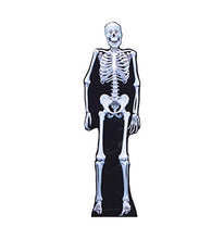Load image into Gallery viewer, Advanced Graphics Skeleton Life Size Cardboard Cutout Standup