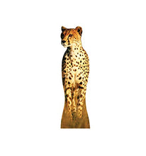 Load image into Gallery viewer, Advanced Graphics Cheetah Life Size Cardboard Cutout Standup