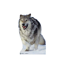 Load image into Gallery viewer, Advanced Graphics Wolf Life Size Cardboard Cutout Standup