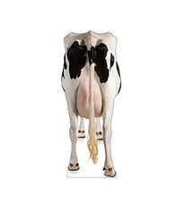 Load image into Gallery viewer, Advanced Graphics Cow's Rear Life Size Cardboard Cutout Standup