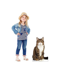 Load image into Gallery viewer, Advanced Graphics House Cat Life Size Cardboard Cutout Standup - Made in USA