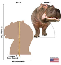 Load image into Gallery viewer, Advanced Graphics Hippopotamus Life Size Cardboard Cutout Standup
