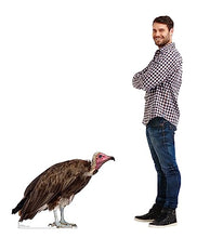 Load image into Gallery viewer, Advanced Graphics Hooded Vulture Life Size Cardboard Cutout Standup - Made in USA