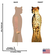 Load image into Gallery viewer, Advanced Graphics Cheetah Life Size Cardboard Cutout Standup