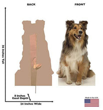 Load image into Gallery viewer, Advanced Graphics Collie Dog Life Size Cardboard Cutout Standup