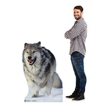 Load image into Gallery viewer, Advanced Graphics Wolf Life Size Cardboard Cutout Standup