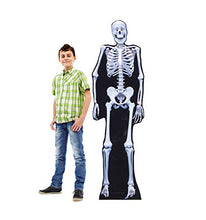 Load image into Gallery viewer, Advanced Graphics Skeleton Life Size Cardboard Cutout Standup