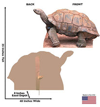 Load image into Gallery viewer, Advanced Graphics Tortoise Life Size Cardboard Cutout Standup