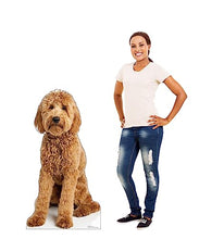 Load image into Gallery viewer, Advanced Graphics Goldendoodle Life Size Cardboard Cutout Standup - Made in USA
