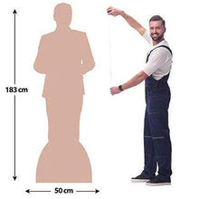 Load image into Gallery viewer, Joe Biden Cardboard Cutout Standee Standup Life Size Joe Biden Cutout Realistic Set of 2 - Biden Mask Celebrity Joe Biden Face Card Mask Joe Biden Poster