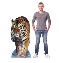 Load image into Gallery viewer, Advanced Graphics Tiger Life Size Cardboard Cutout Standup