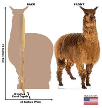 Load image into Gallery viewer, Advanced Graphics Llama Life Size Cardboard Cutout Standup
