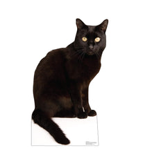 Load image into Gallery viewer, Advanced Graphics Black Cat Life Size Cardboard Cutout Standup - Made in USA