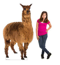 Load image into Gallery viewer, Advanced Graphics Llama Life Size Cardboard Cutout Standup