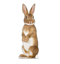 Load image into Gallery viewer, Advanced Graphics Bunny Rabbit Life Size Cardboard Cutout Standup