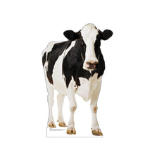 Load image into Gallery viewer, Advanced Graphics Cow Life Size Cardboard Cutout Standup