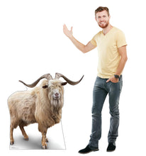 Load image into Gallery viewer, Advanced Graphics Wild Mountain Goat Life Size Cardboard Cutout Standup - Made in USA