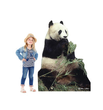 Load image into Gallery viewer, Advanced Graphics Panda Bear Life Size Cardboard Cutout Standup