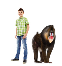 Load image into Gallery viewer, Advanced Graphics Mandrill Life Size Cardboard Cutout Standup - Made in USA