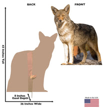 Load image into Gallery viewer, Advanced Graphics Coyote Life Size Cardboard Cutout Standup - Made in USA