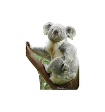 Load image into Gallery viewer, Advanced Graphics Koala Bear Life Size Cardboard Cutout Standup