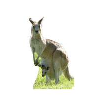 Load image into Gallery viewer, Advanced Graphics Kangaroo Life Size Cardboard Cutout Standup