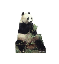 Load image into Gallery viewer, Advanced Graphics Panda Bear Life Size Cardboard Cutout Standup