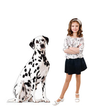 Load image into Gallery viewer, Advanced Graphics Dalmation Dog Life Size Cardboard Cutout Standup - Made in USA