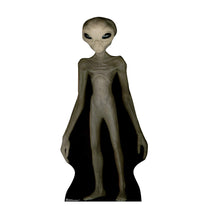 Load image into Gallery viewer, Advanced Graphics Pillory Post Life Size Cardboard Cutout Standup