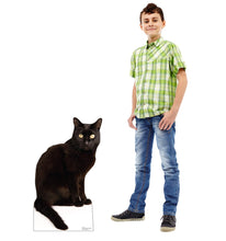 Load image into Gallery viewer, Advanced Graphics Black Cat Life Size Cardboard Cutout Standup - Made in USA