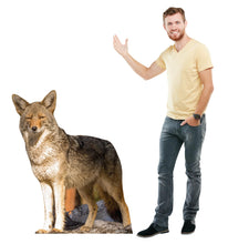 Load image into Gallery viewer, Advanced Graphics Coyote Life Size Cardboard Cutout Standup - Made in USA