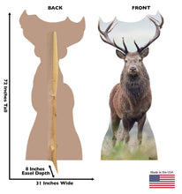Load image into Gallery viewer, Advanced Graphics Deer Life Size Cardboard Cutout Standup