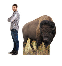 Load image into Gallery viewer, Advanced Graphics Bison Life Size Cardboard Cutout Standup