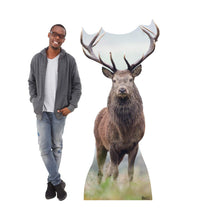 Load image into Gallery viewer, Advanced Graphics Deer Life Size Cardboard Cutout Standup