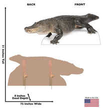 Load image into Gallery viewer, Advanced Graphics American Alligator Life Size Cardboard Cutout Standup - AT TEN Distribution
